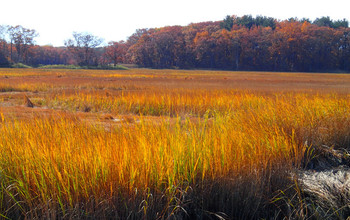 Sunset over a salt marsh at Plum Island, Massachusetts, as autumn arrives.